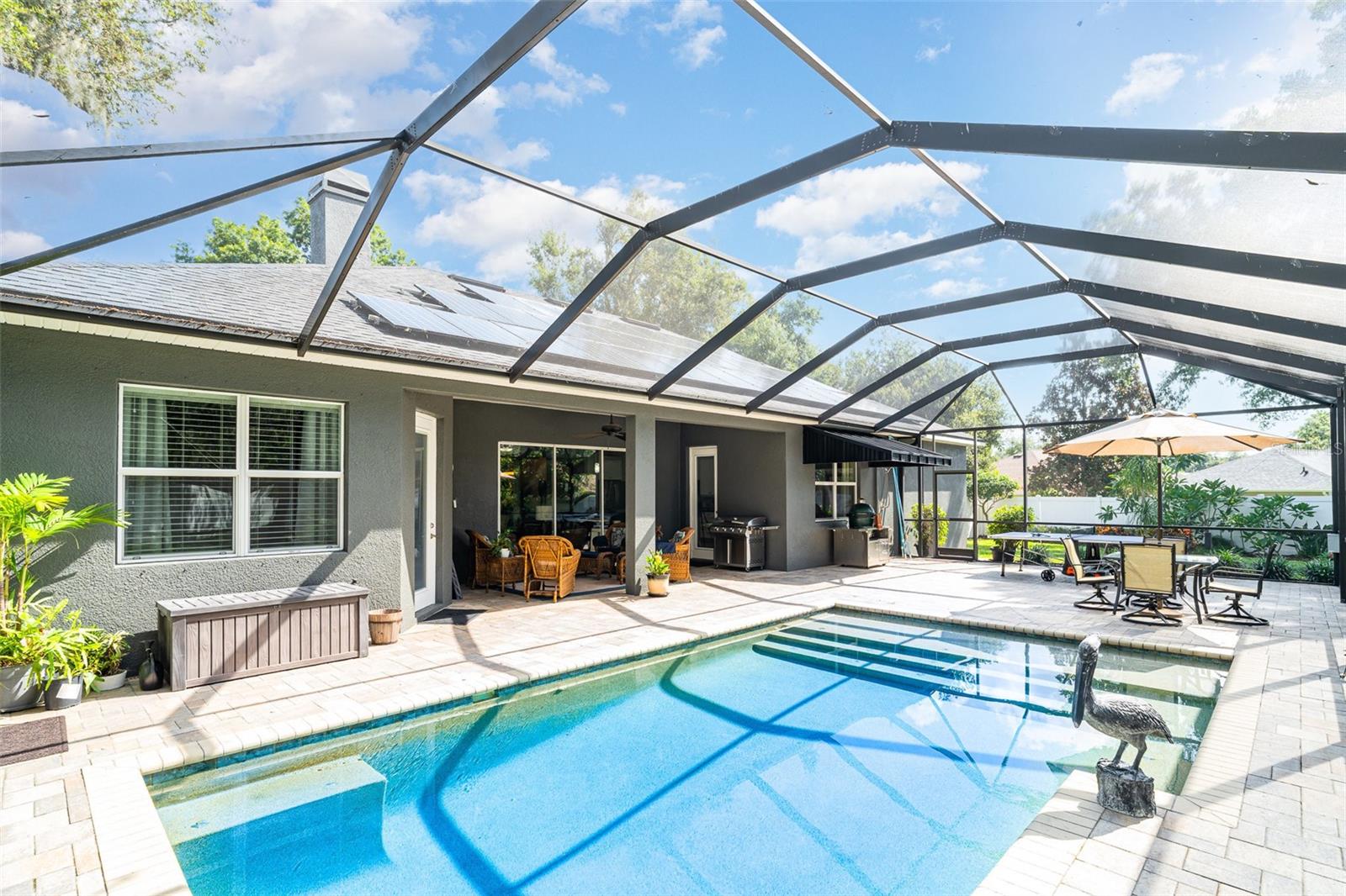 52 x 25 caged salt water pool