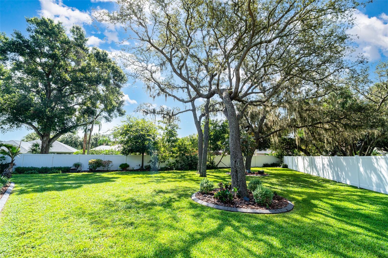 Fenced yard