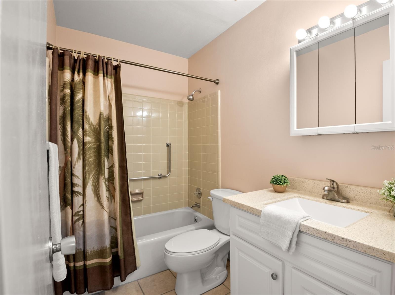 Guest bath