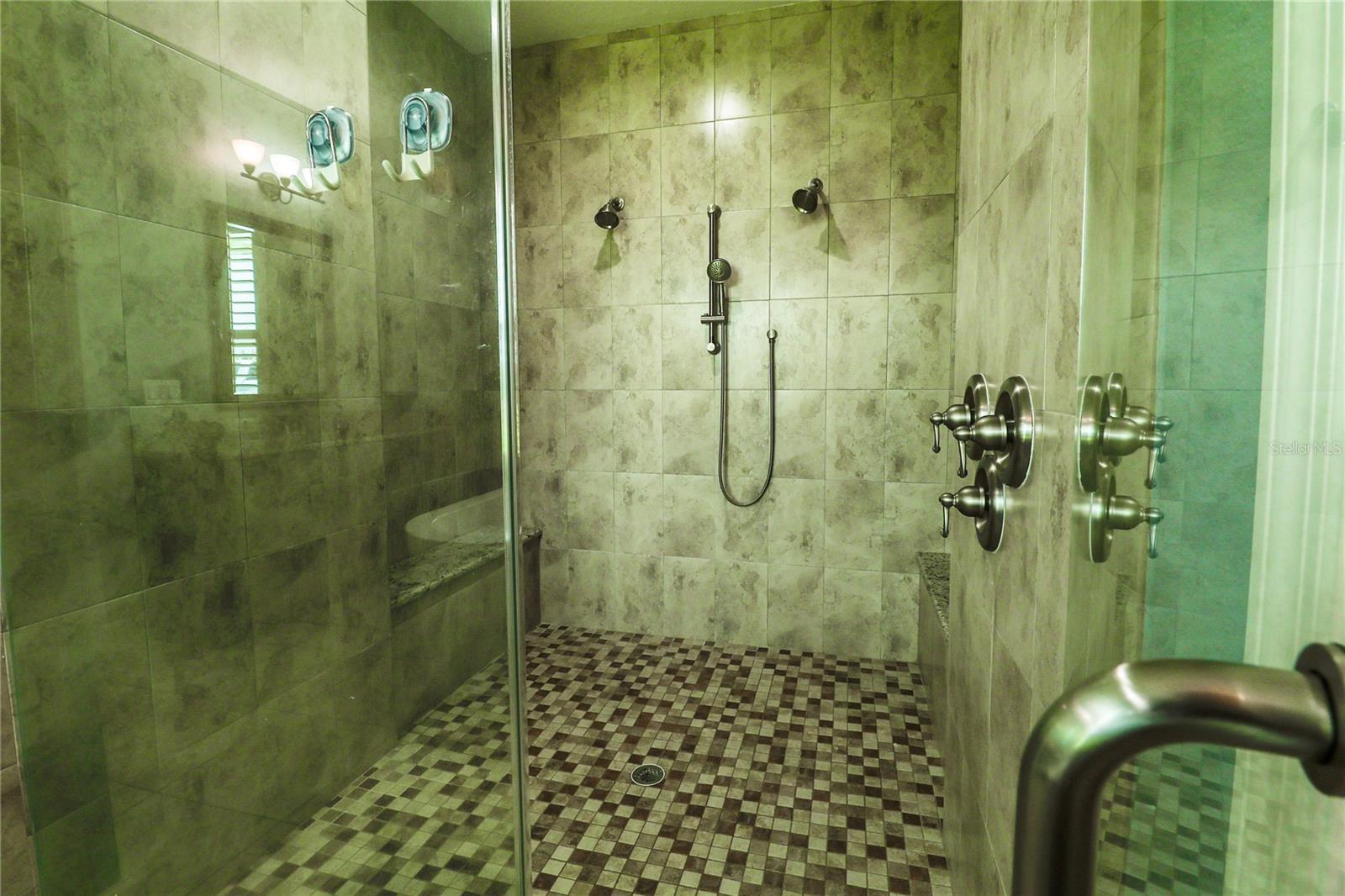owner's bathroom walk-in shower