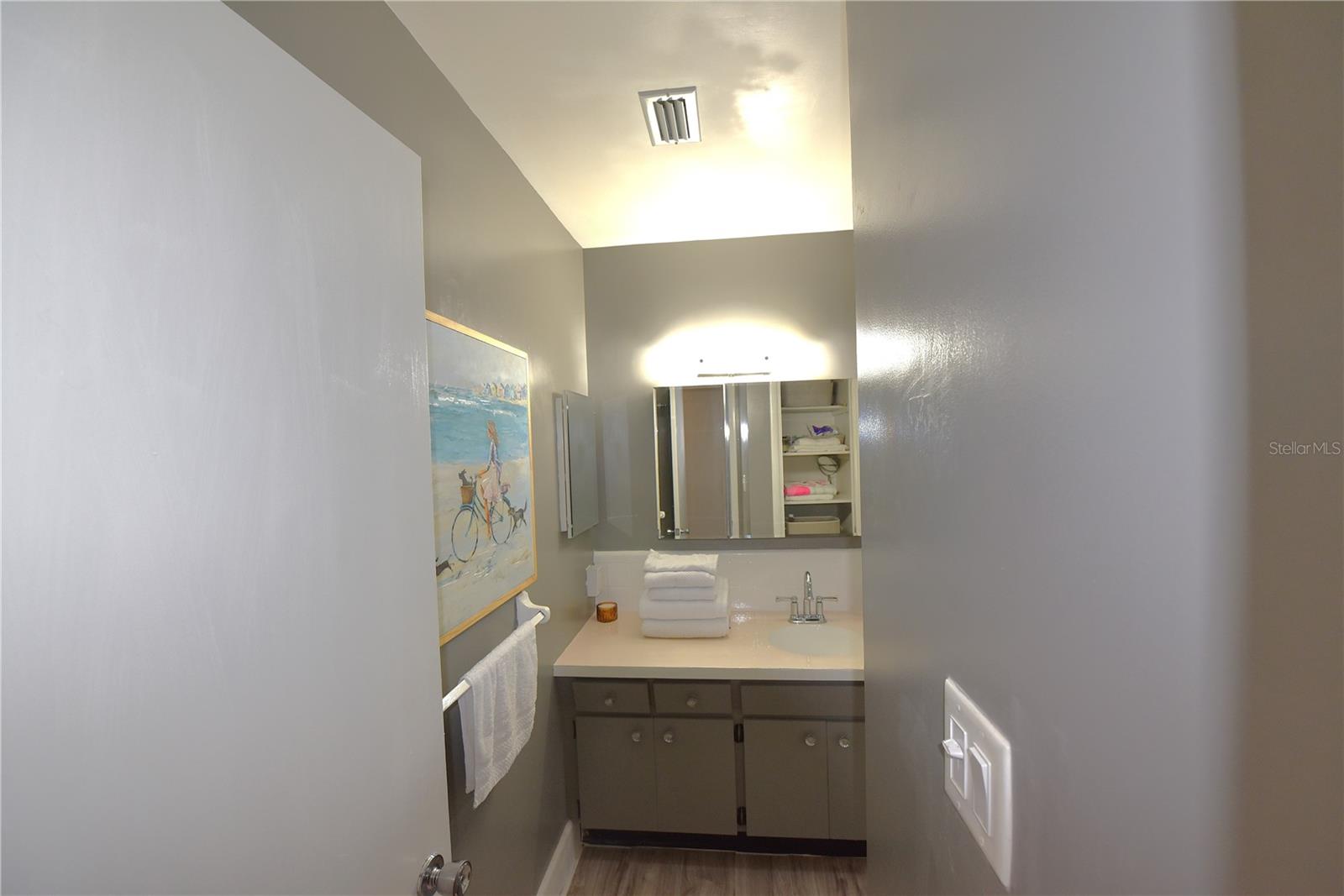 Guest bath