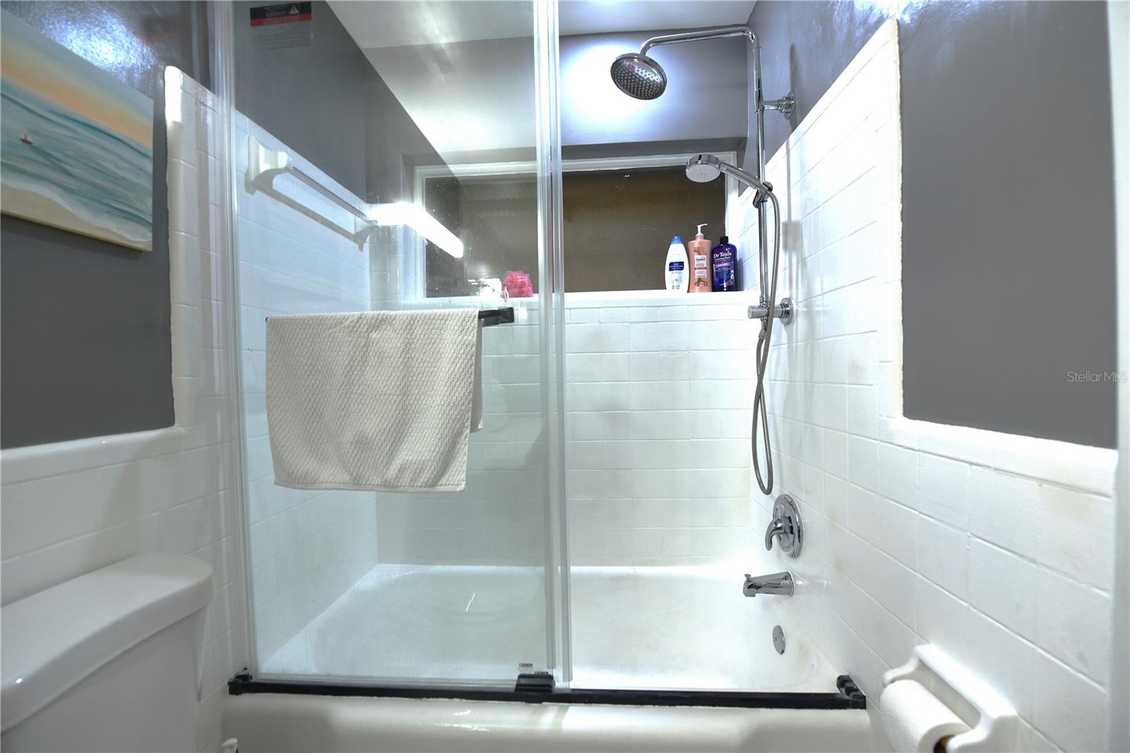 Guest bath