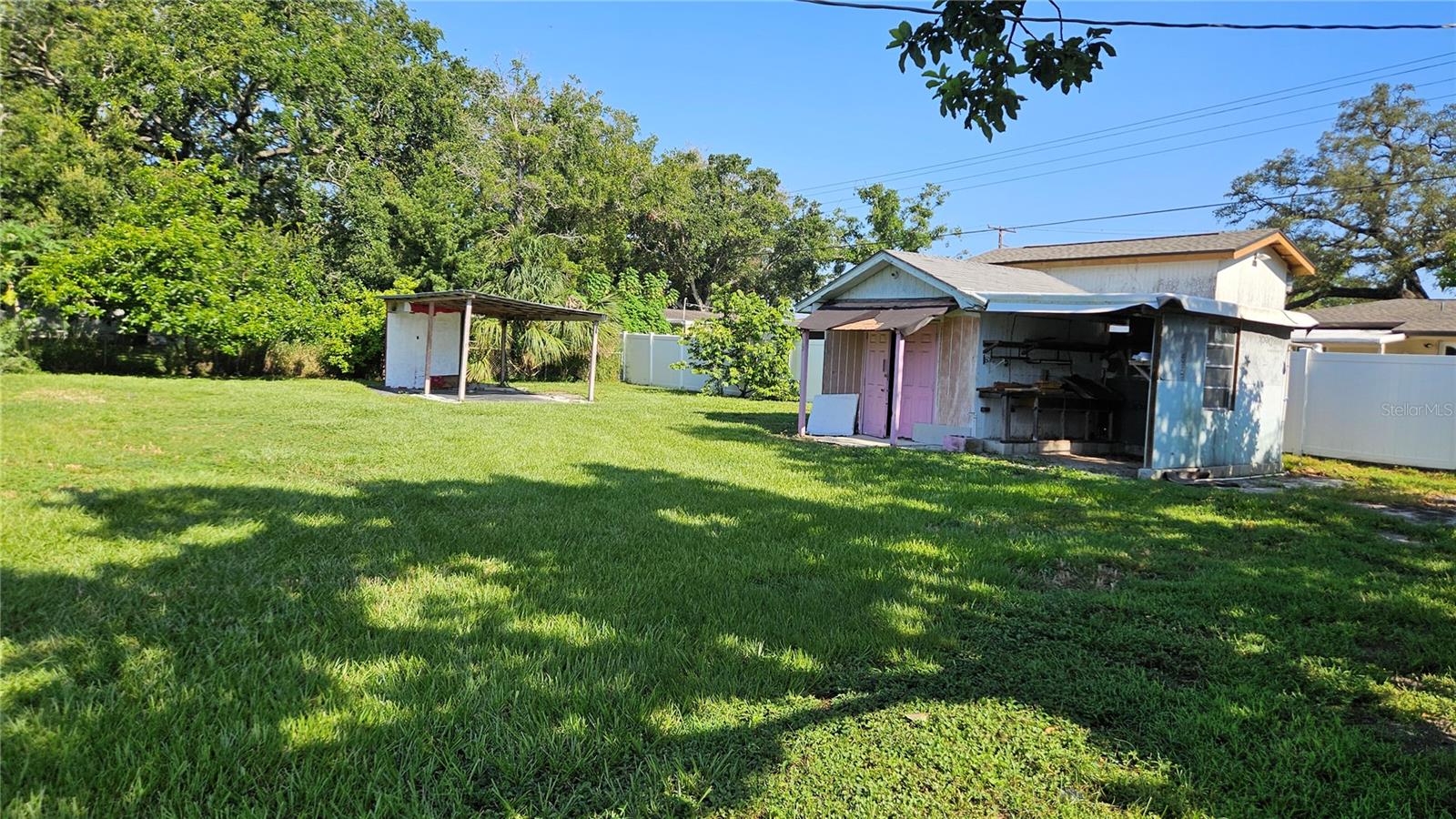Back yard