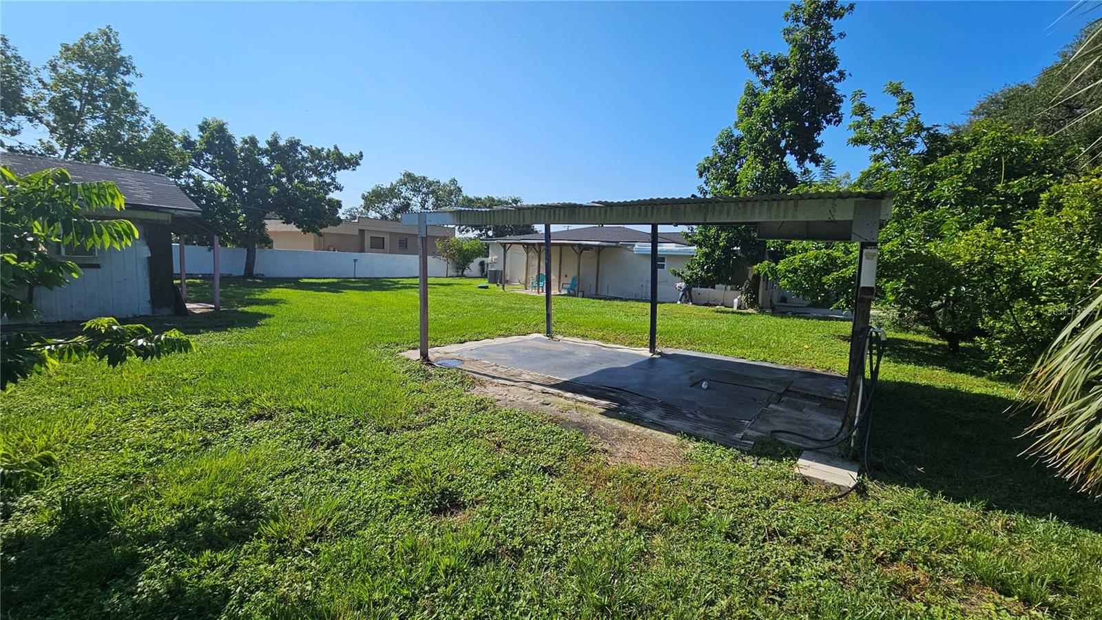 Back yard