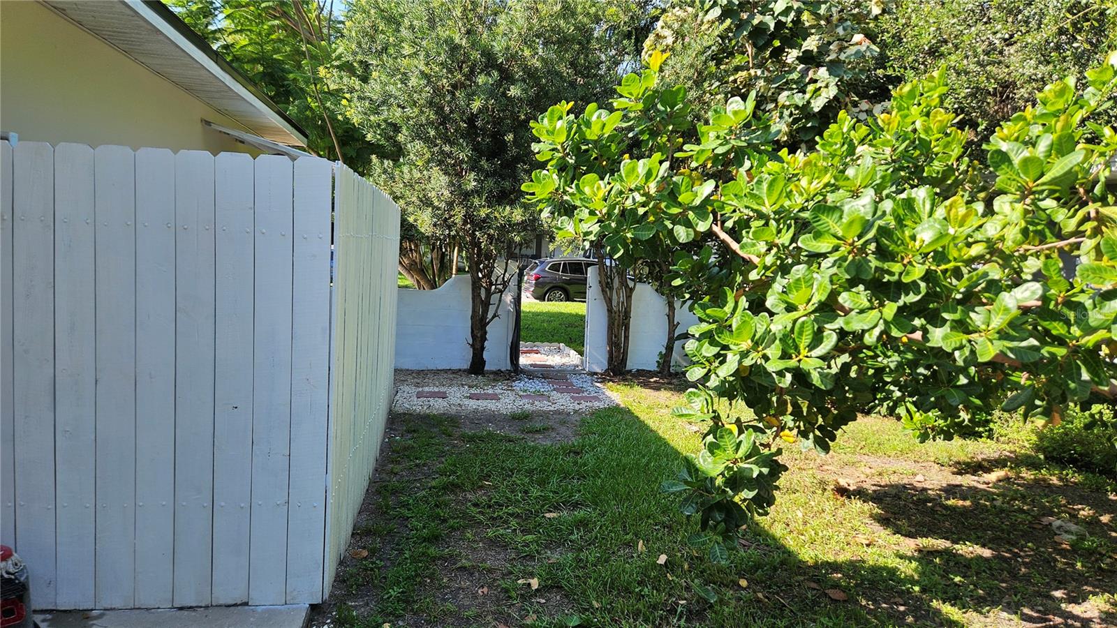 Back yard