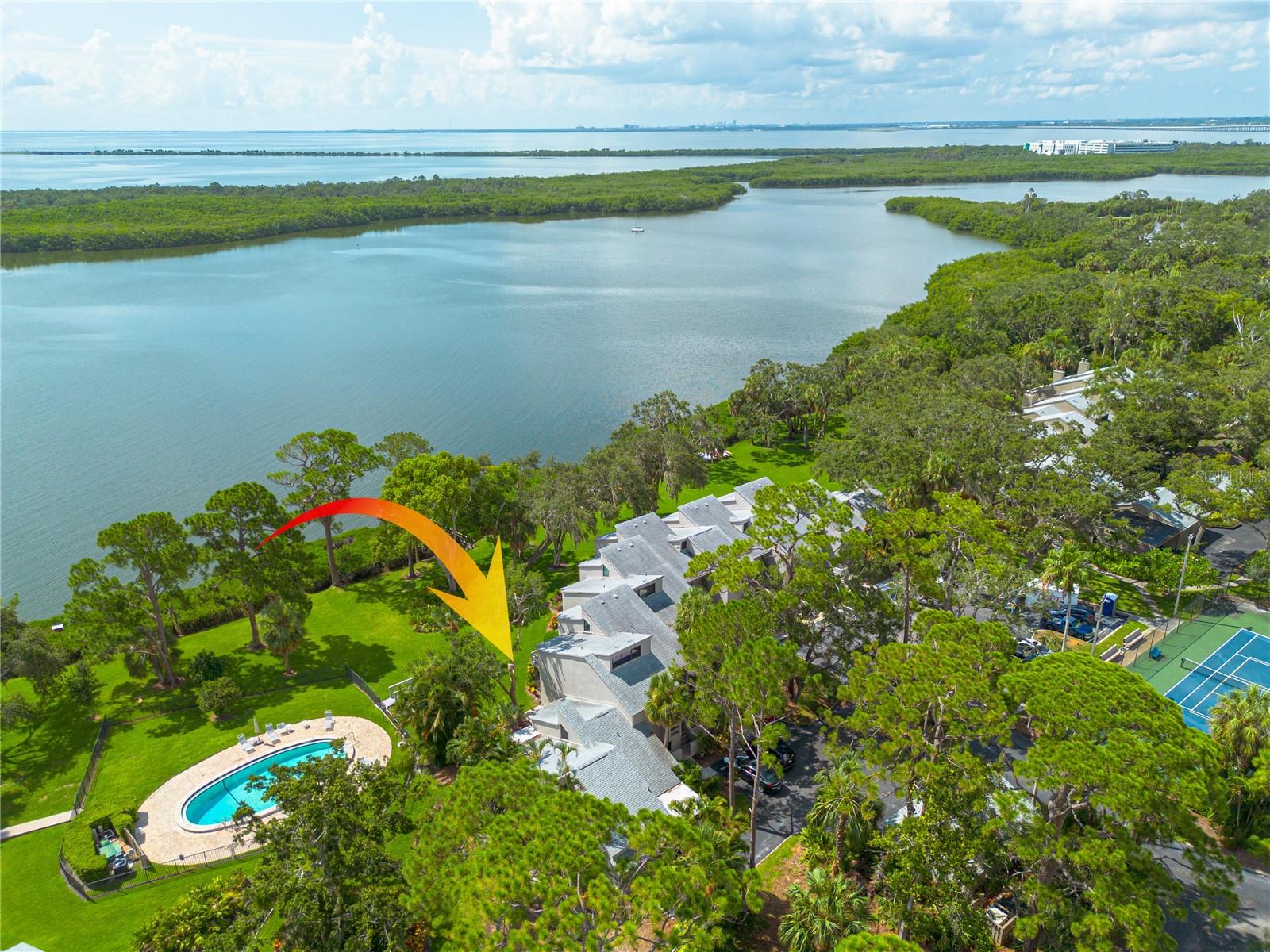 View of Old Tampa Bay from your living room