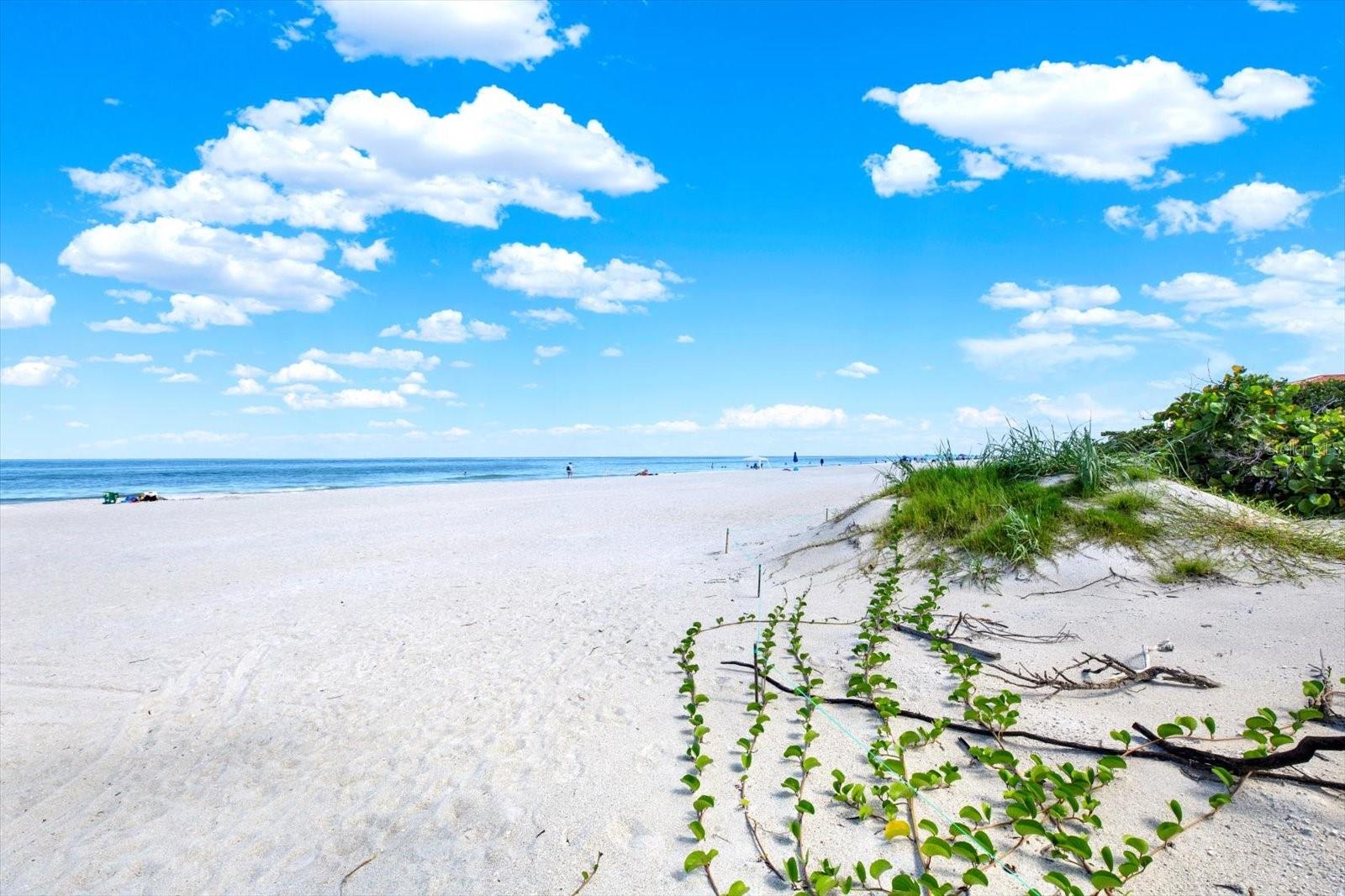 BEAUTIFUL INDIAN ROCKS BEACH