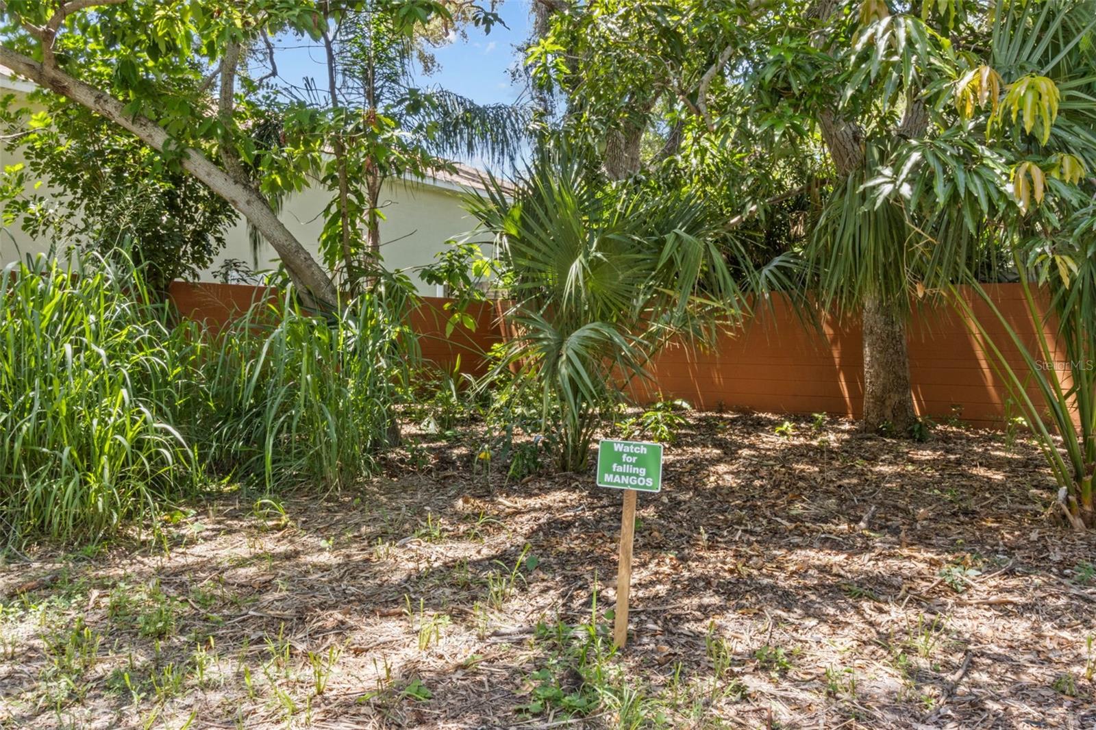 Fruit Trees.