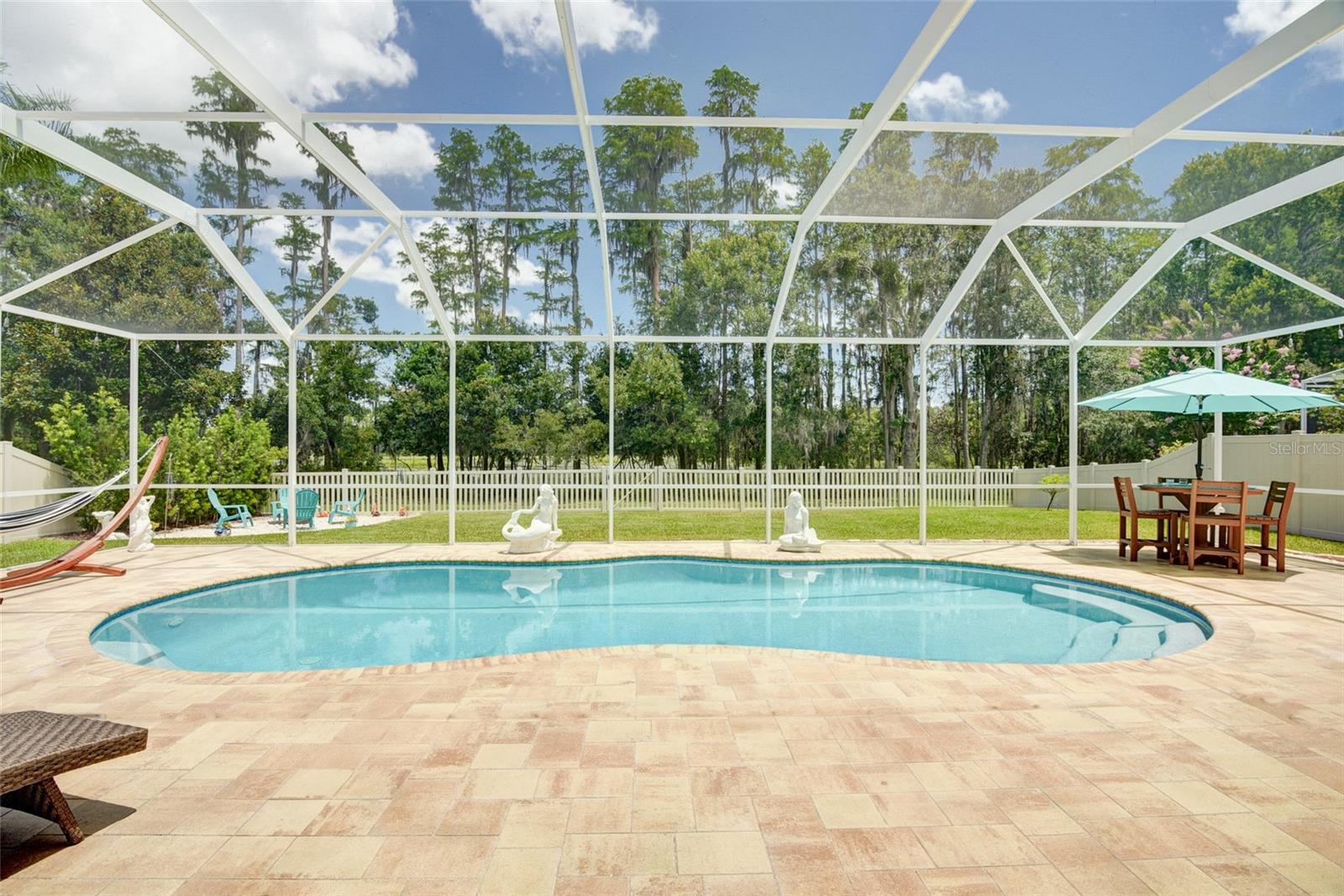 Pool Backyard