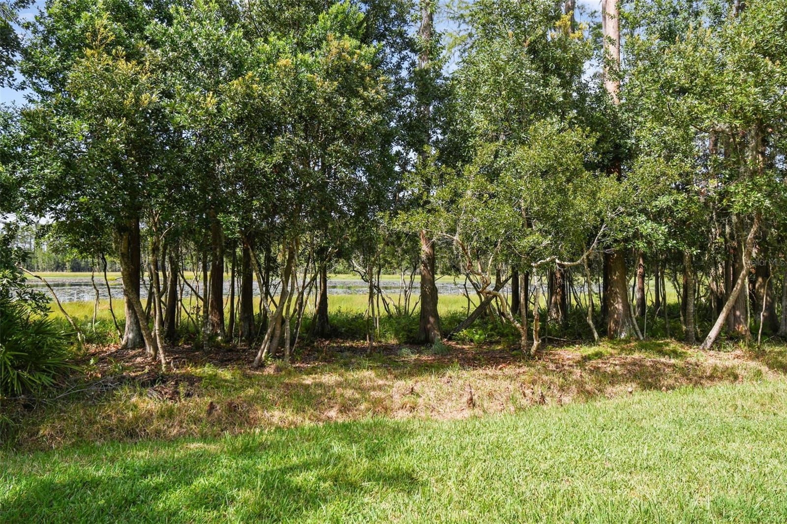 Preservation Lake View
