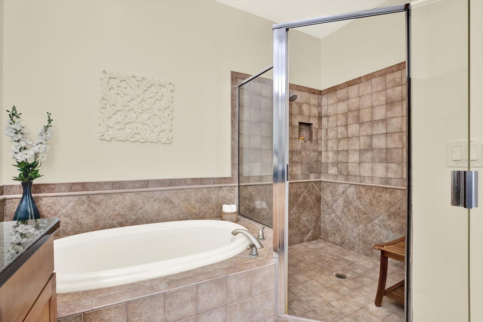 Primary En Suite with soaking tub, separate shower and water closet, granite counters.