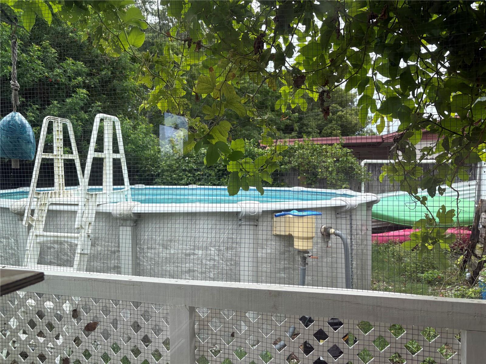 back yard pool