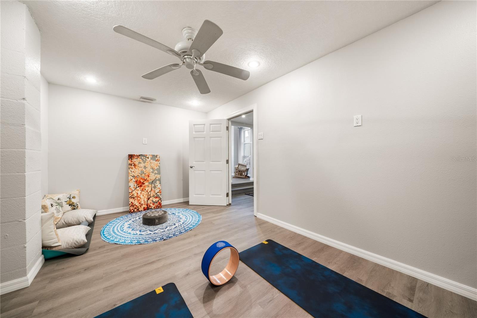 downstairs zen/meditation room