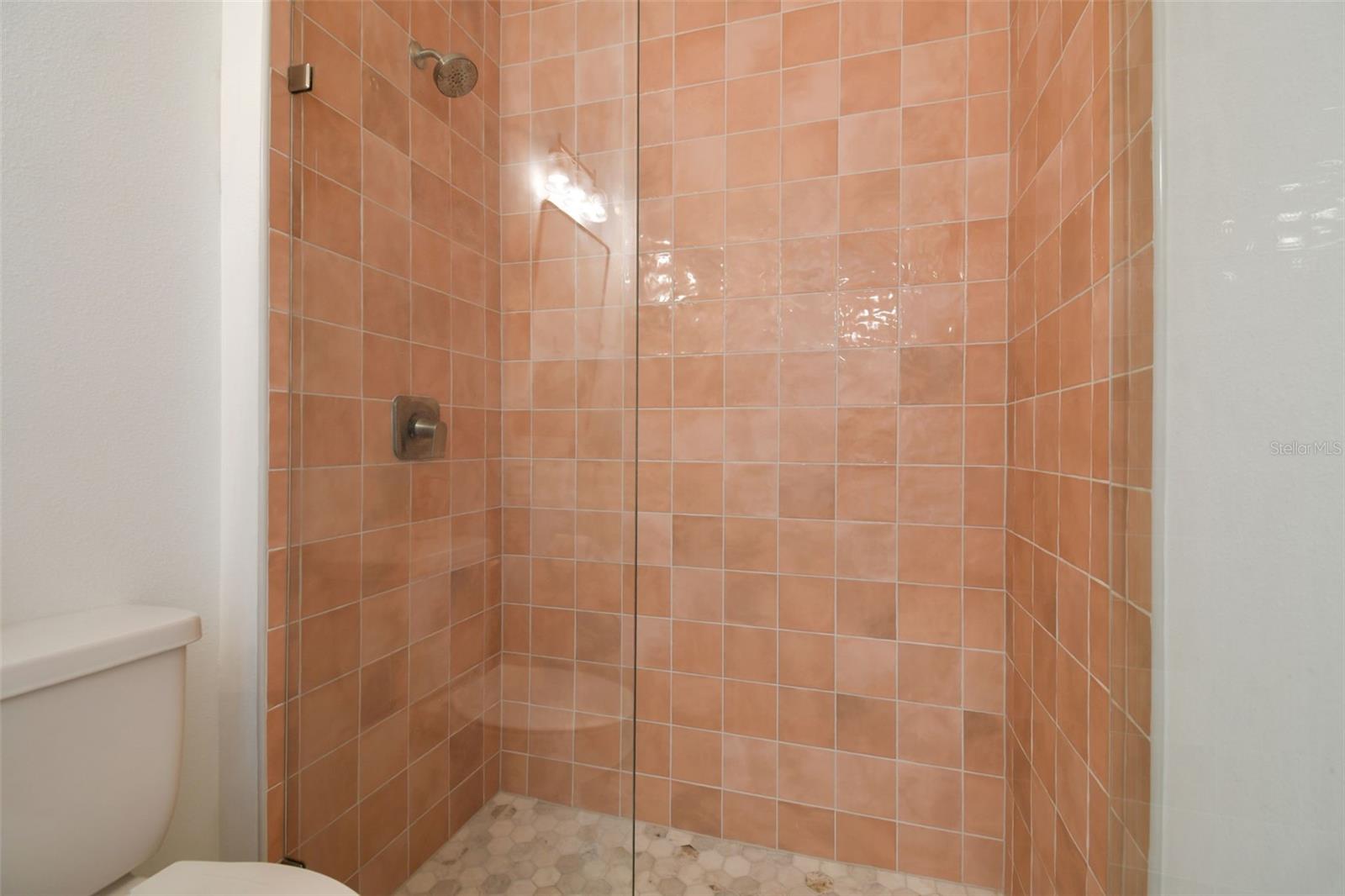 2nd Bathroom with frameless shower desiger tile