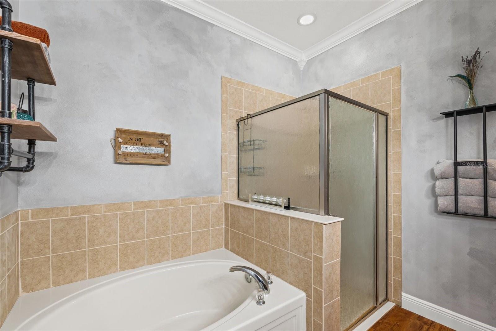 Shower/Garden Tub
