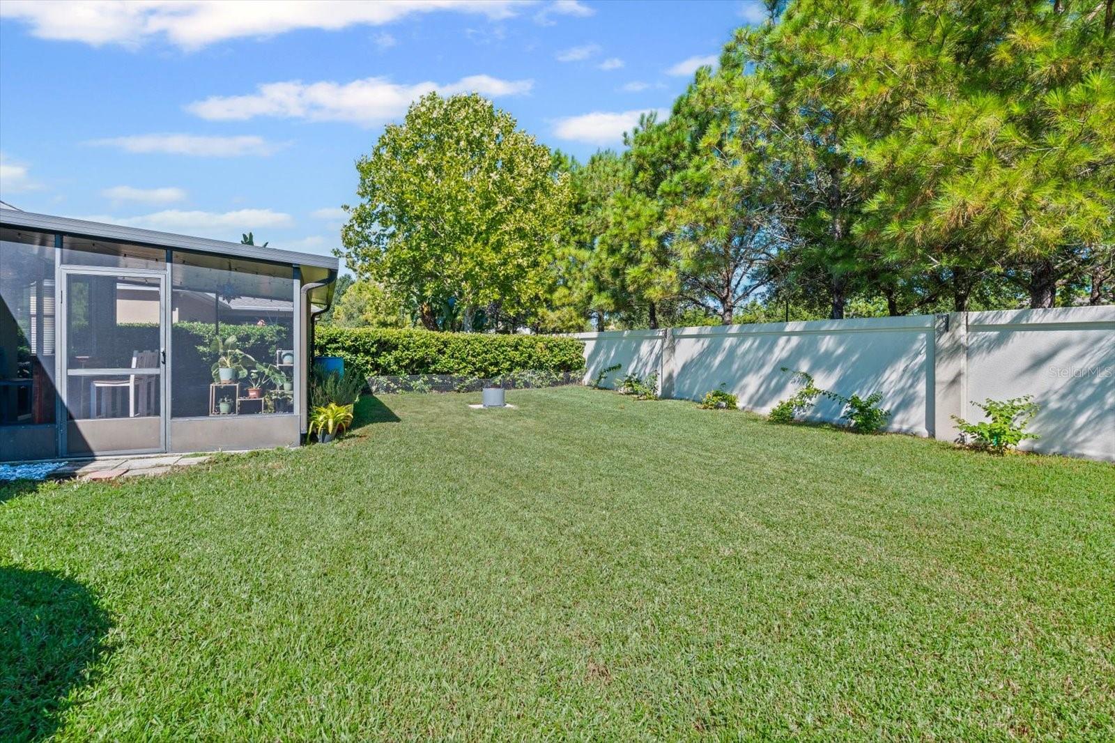 Fenced in Backyard