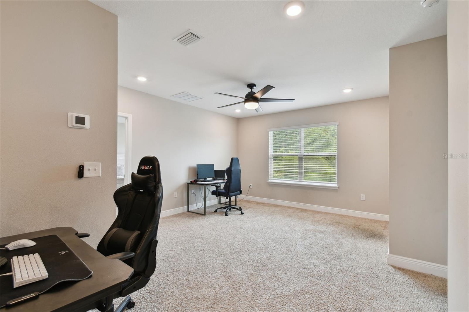 Game/Computer Area