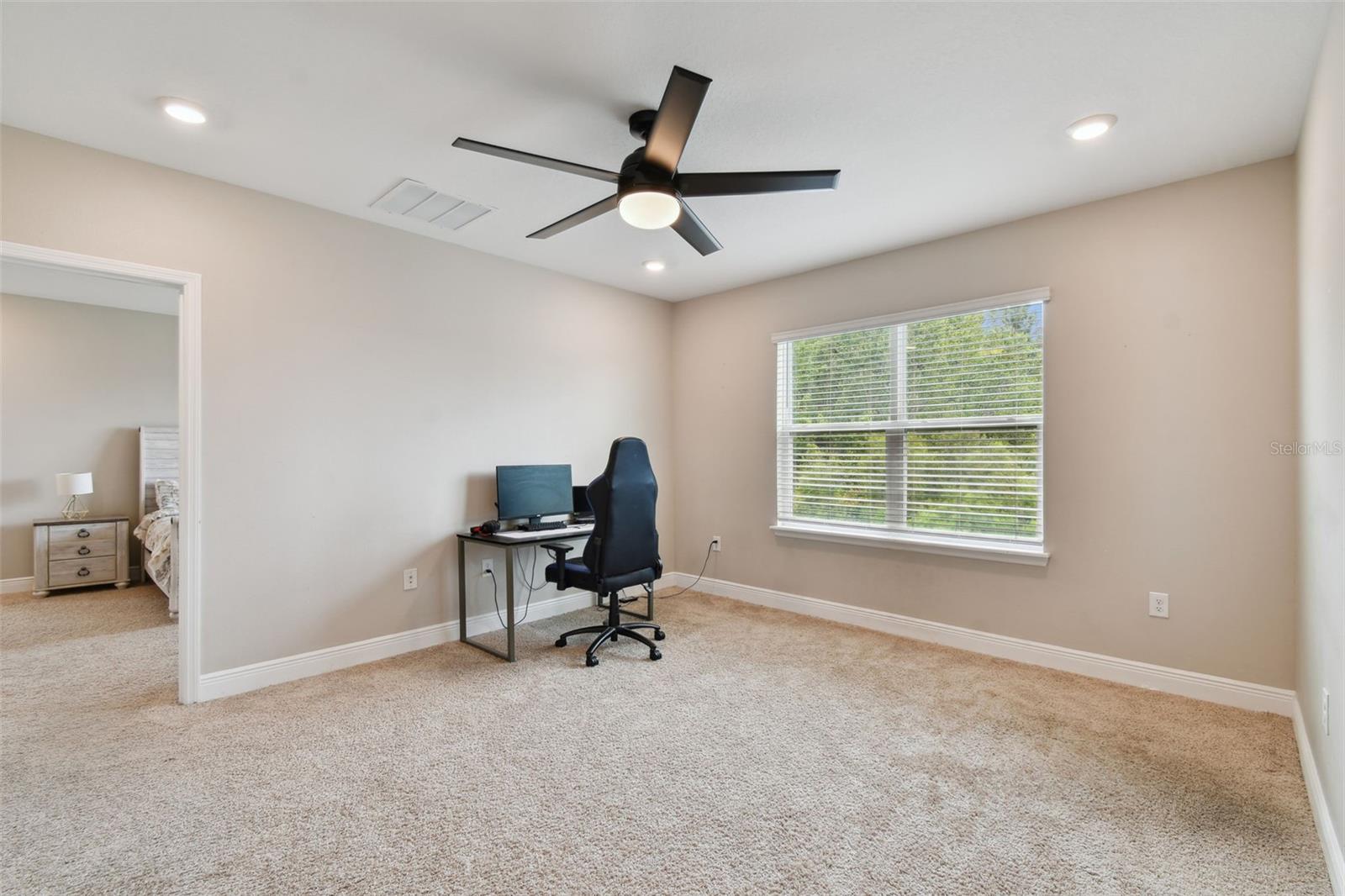 Game/Computer Area