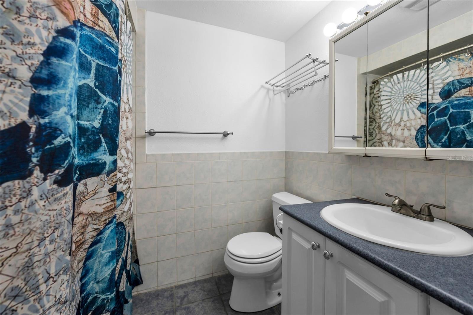 Guest Bath 25022 Forest Hills Dr, Holiday FL