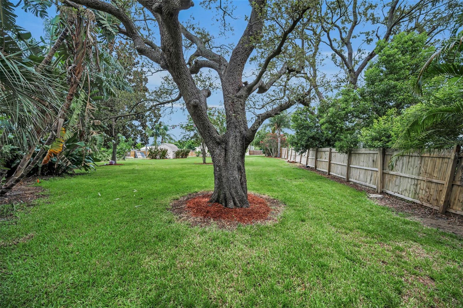 Over 1/2 Acre Lot5022 Forest Hills Dr, Holiday FL
