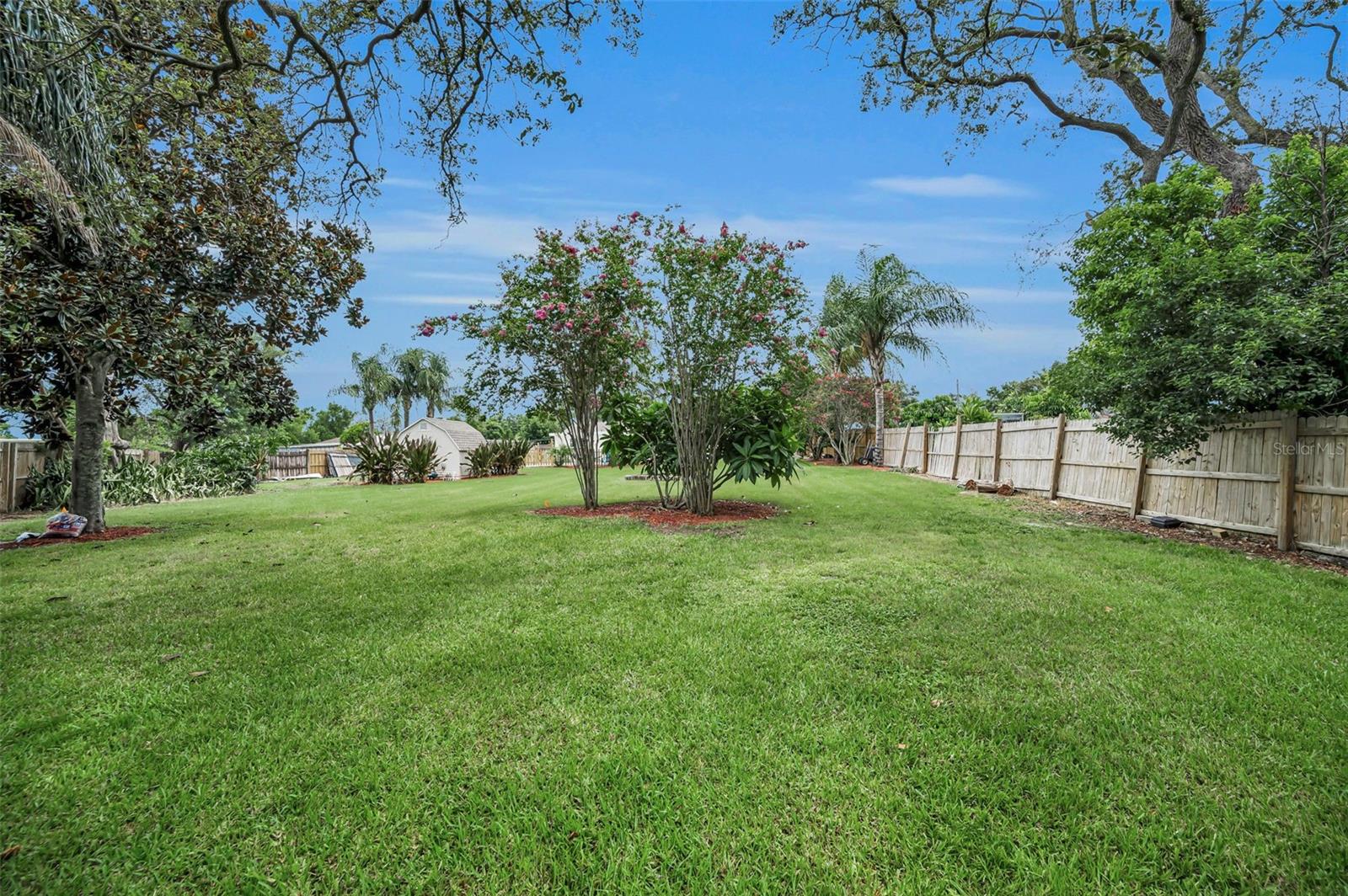 Fenced In Backyard5022 Forest Hills Dr, Holiday FL