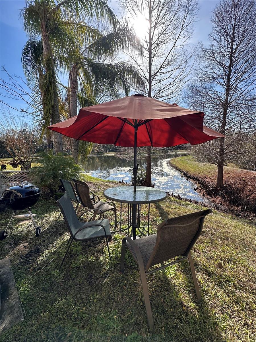 Back patio