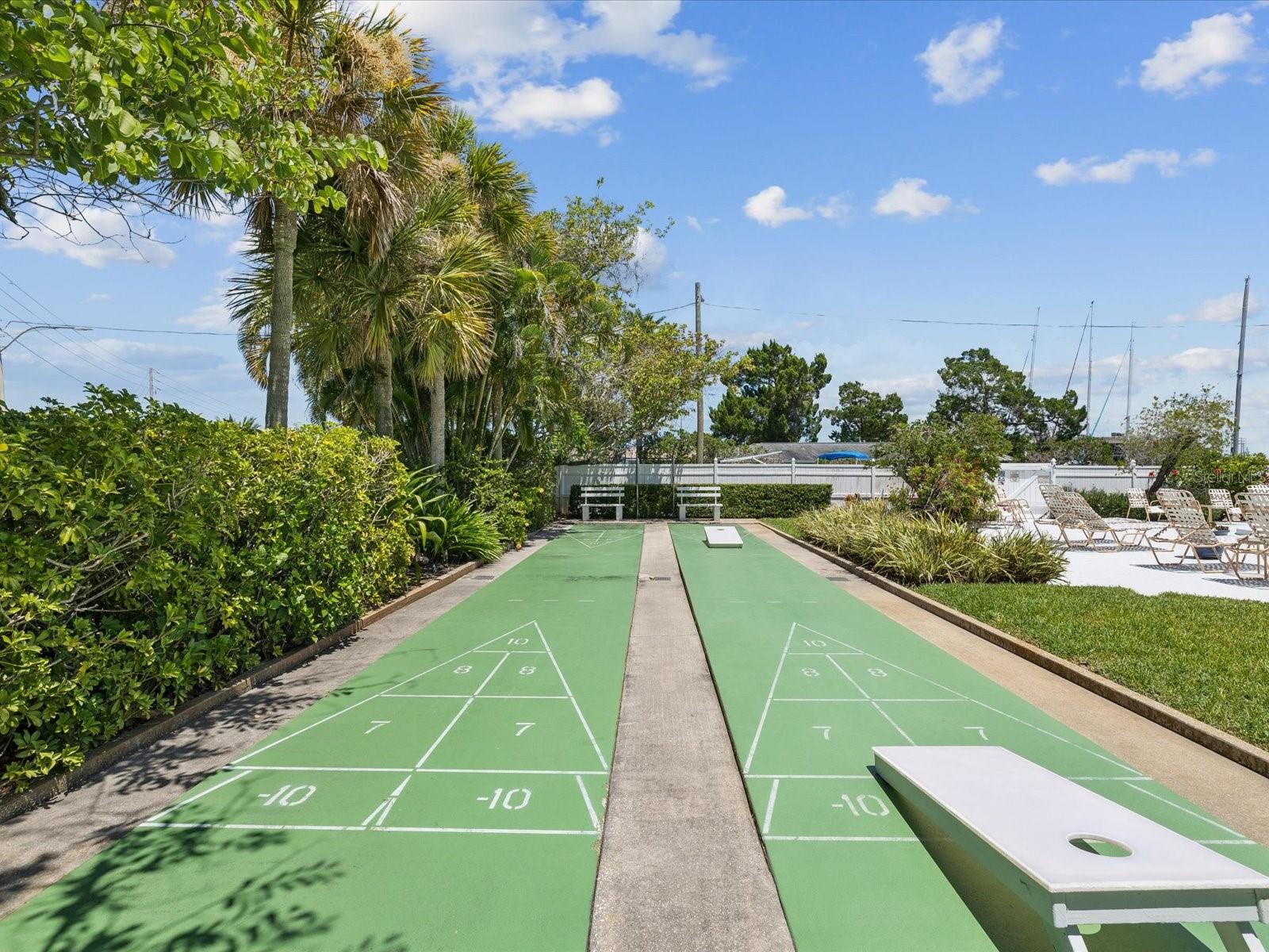 Shuffle board courts