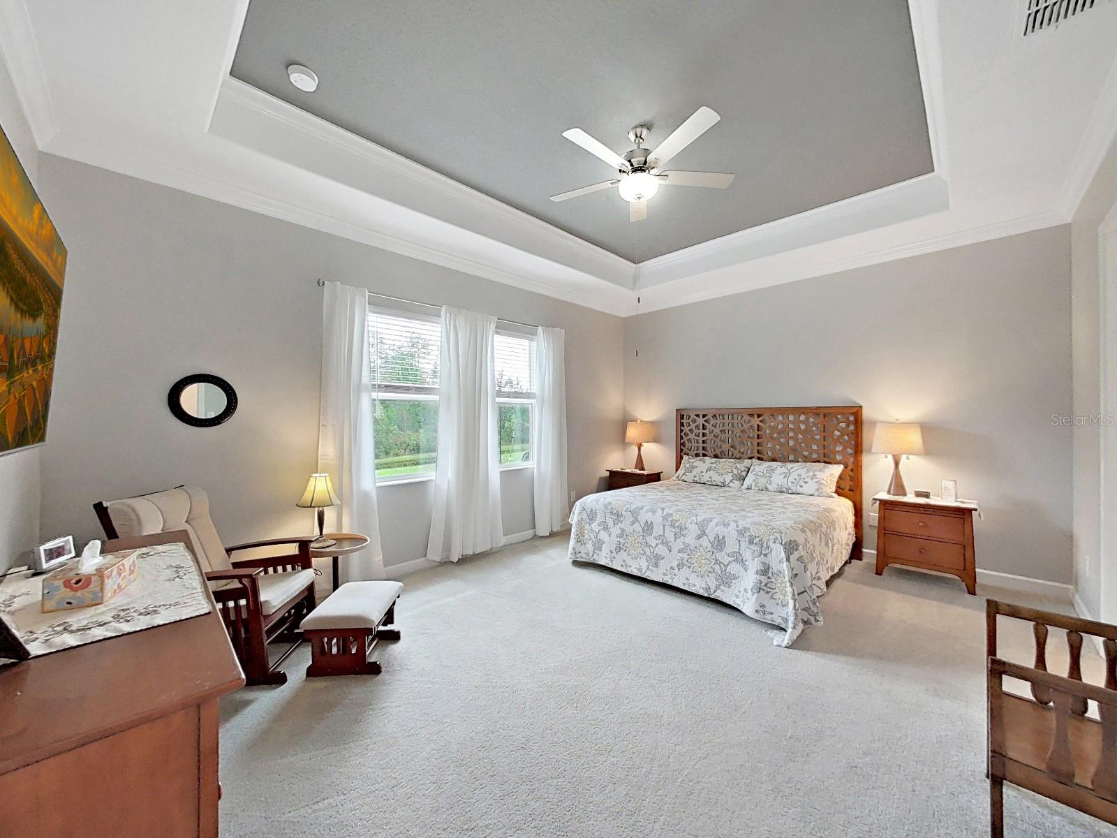 Primary Bedroom with Tray ceiling, fan and view of conservation area.