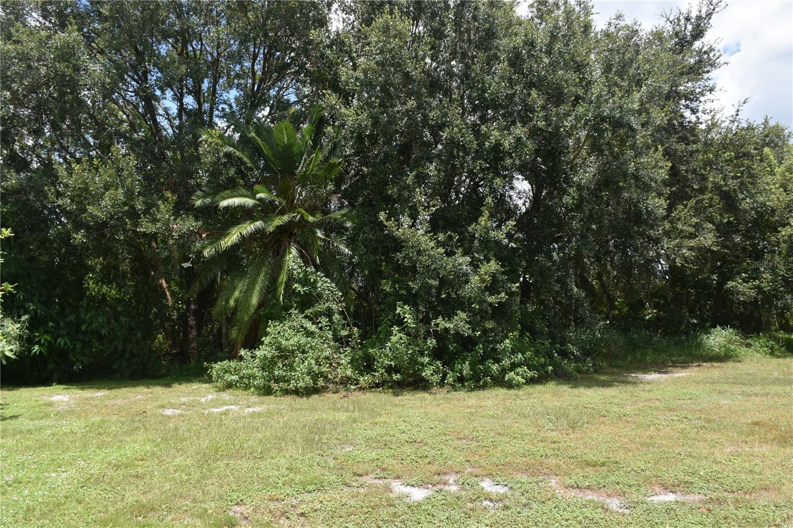Conservation area in back