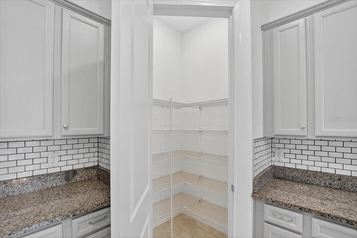 2781 hilliard dr weseley chapel FL 33543