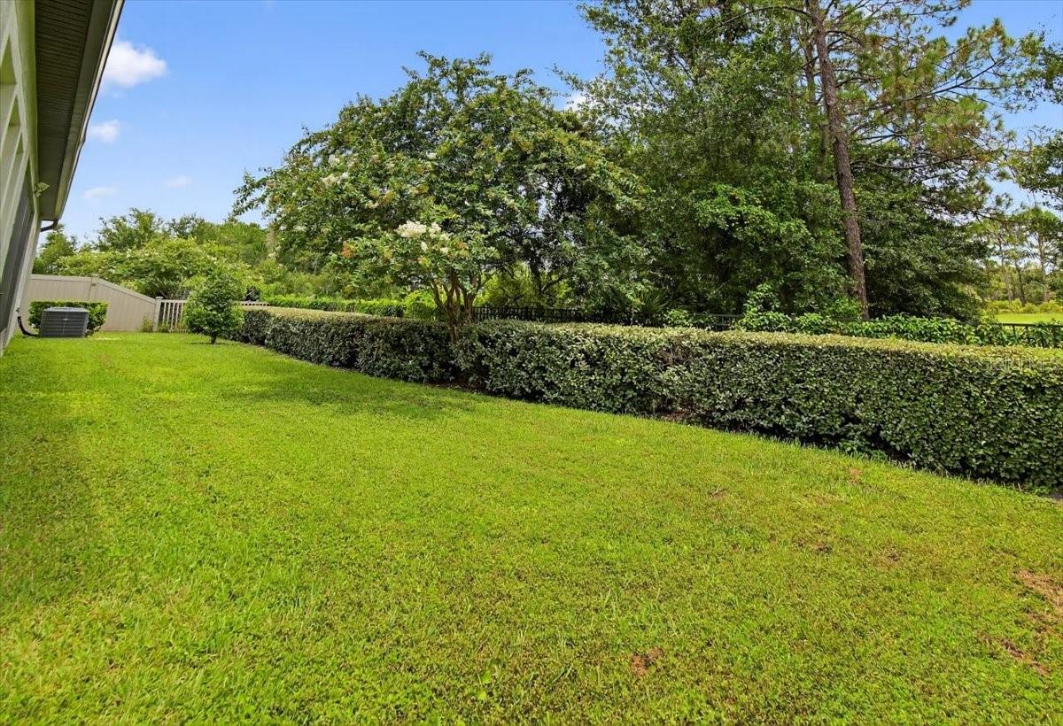 2781 hilliard dr weseley chapel FL 33543