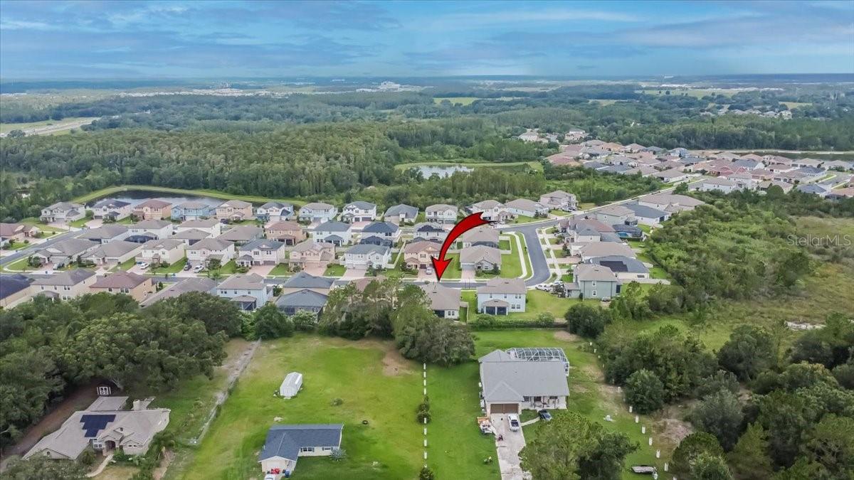 2781 hilliard dr weseley chapel FL 33543