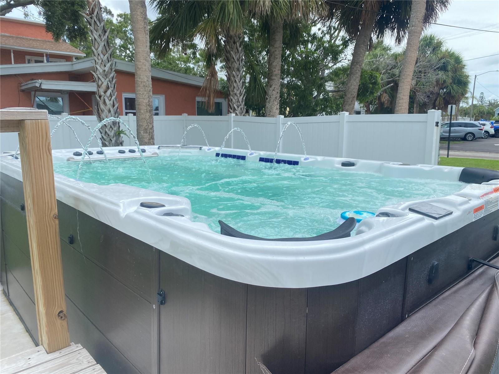 Backyard SwimSpa