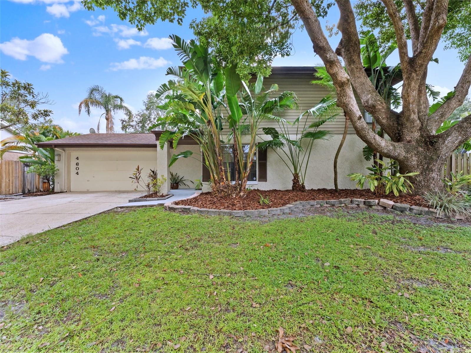 Tropical freshly manicured landscaping