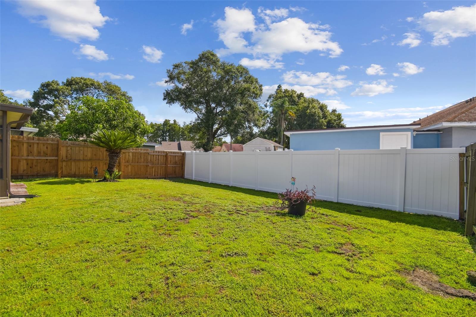 Backyard
