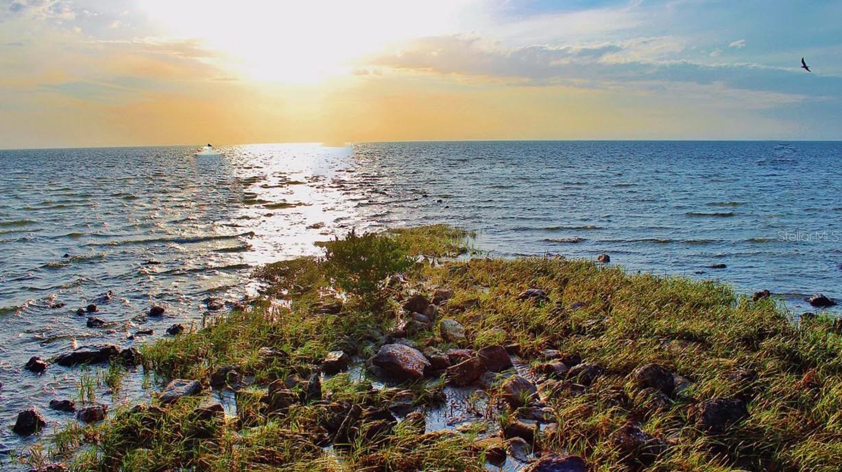 Pine Island a modern and naturalistic beach