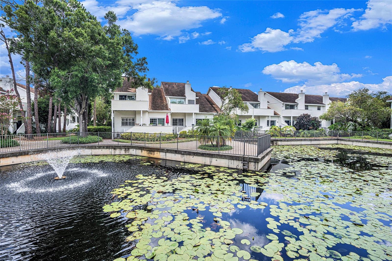 pond view