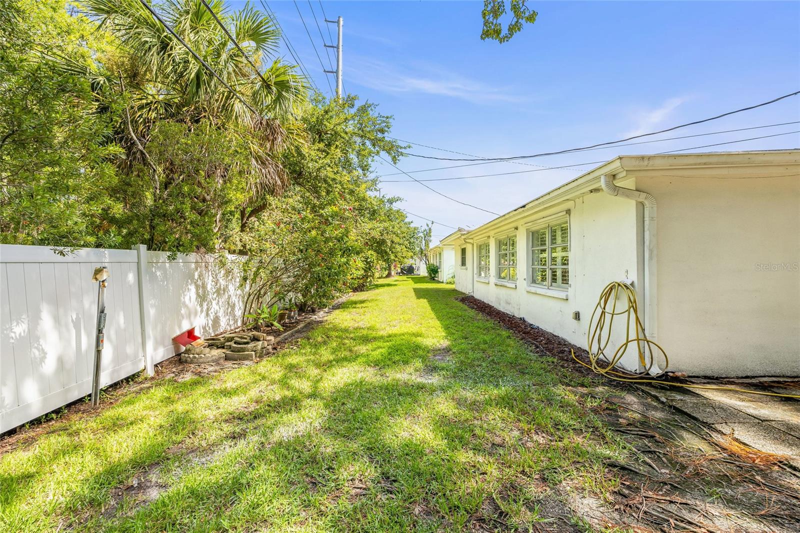 Back yard