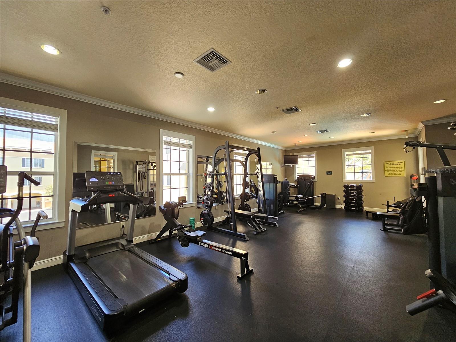 Squat rack, rowing machine- right across the pool