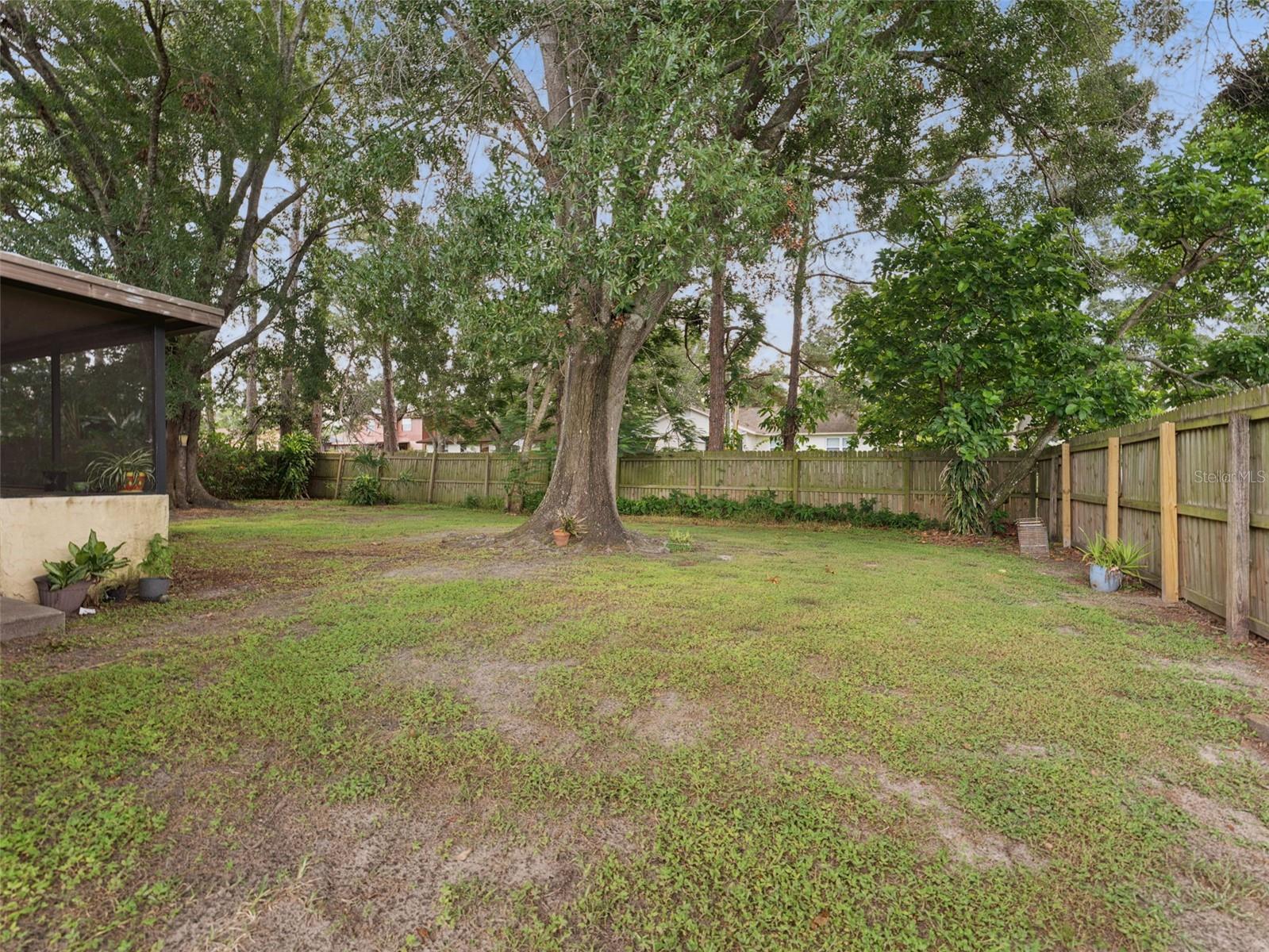 Backyard