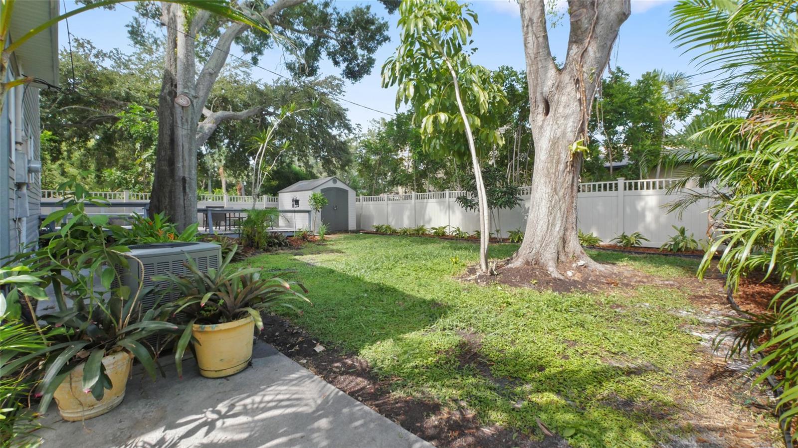 Easy maintenance yard with mature trees