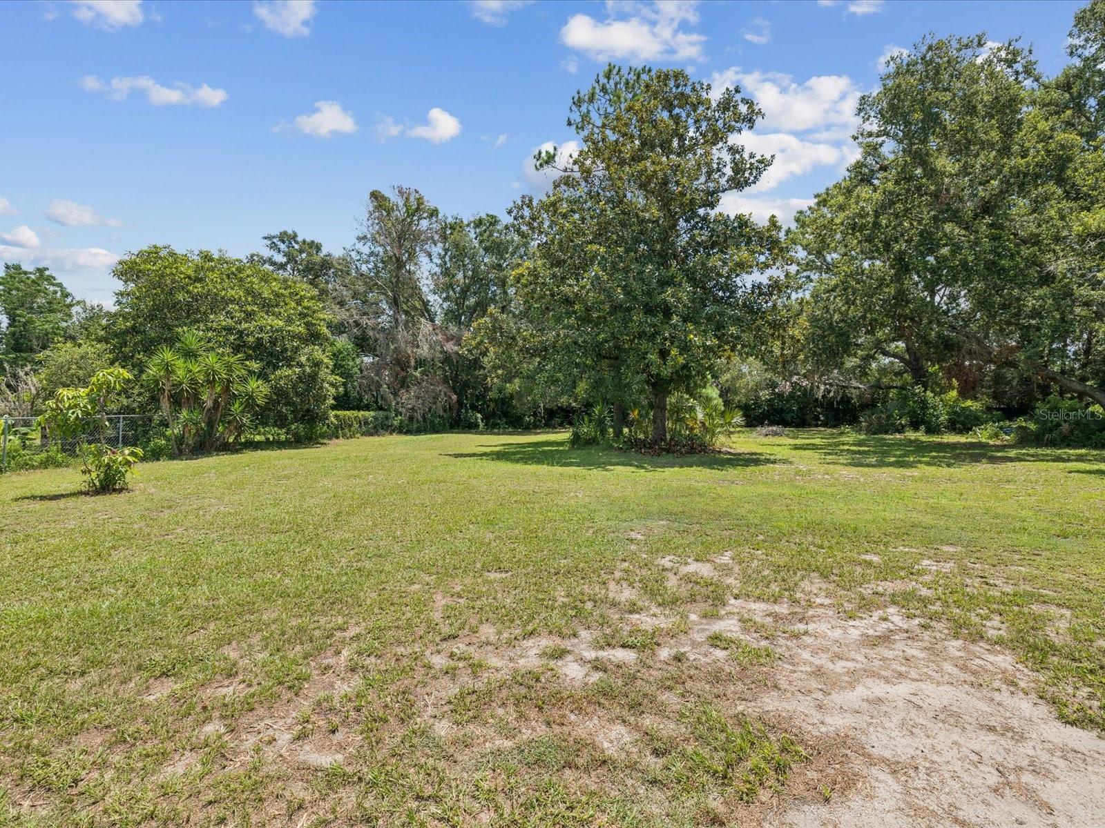 Fenced yard with Beautiful trees