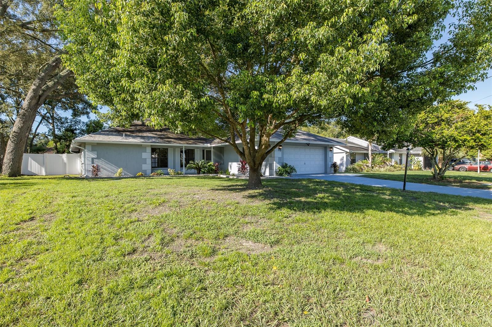 BIG FRONT YARD