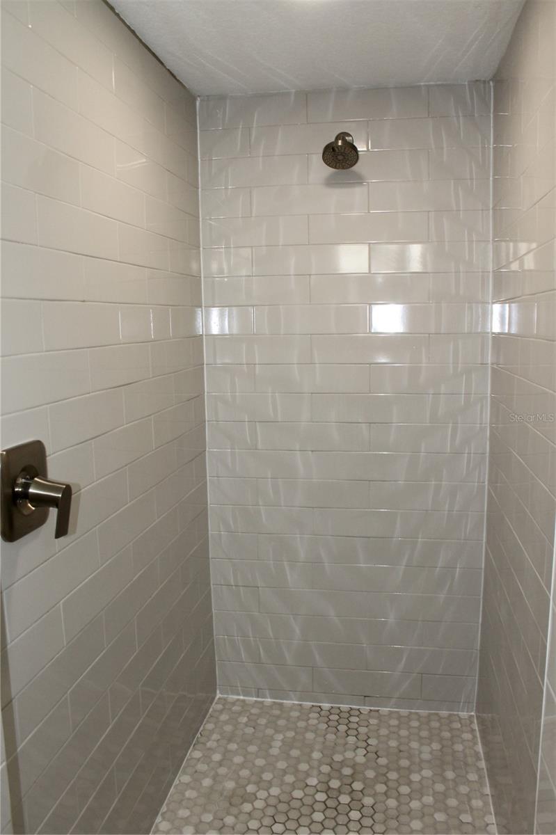 Primary bath shower