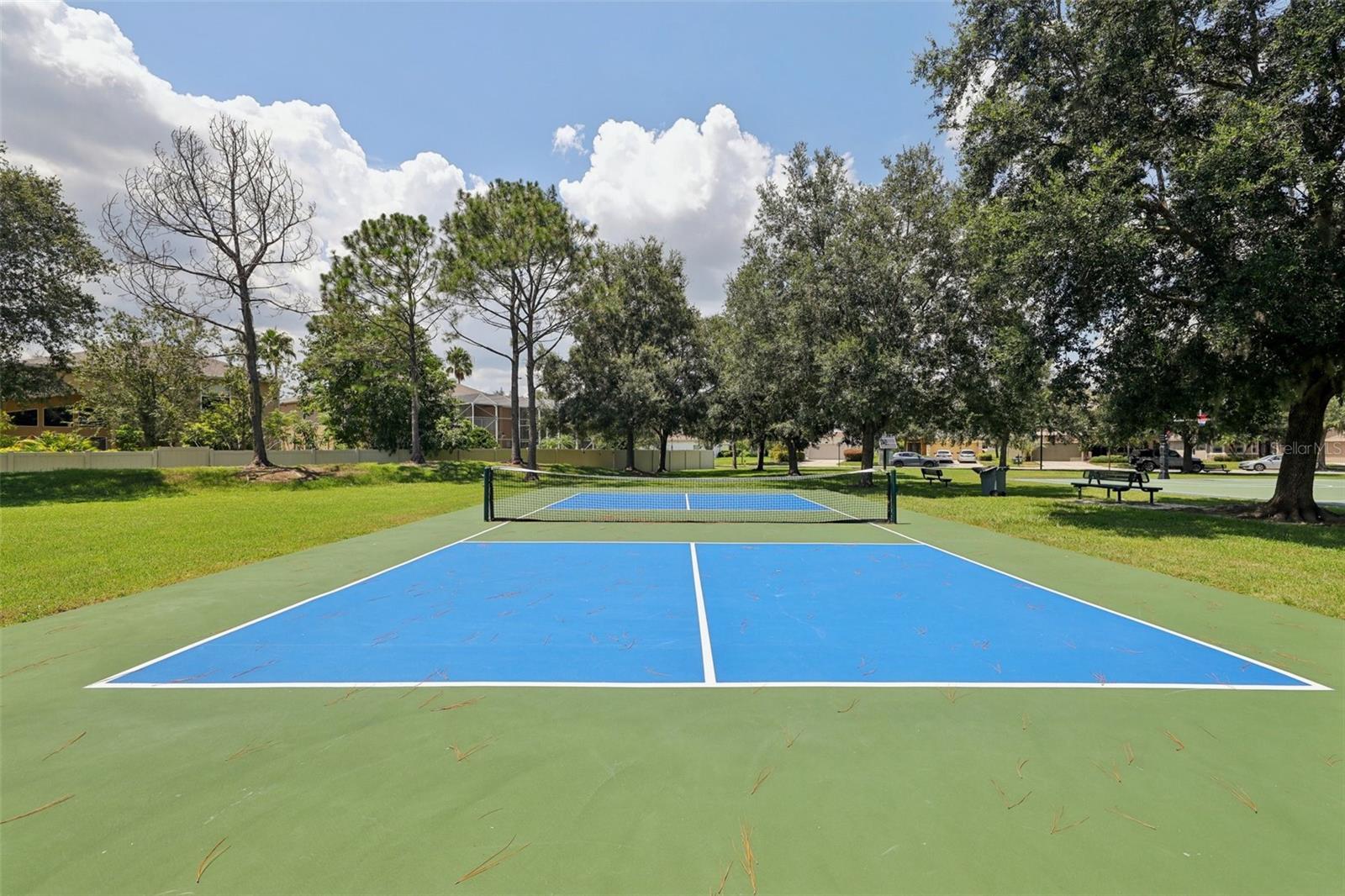 PICKLE BALL / RACKET BALL