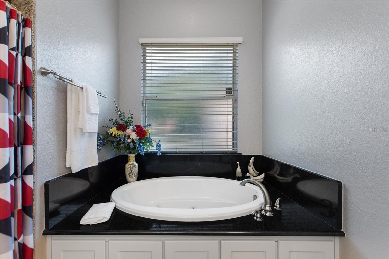 Beautiful garden tub/spa.