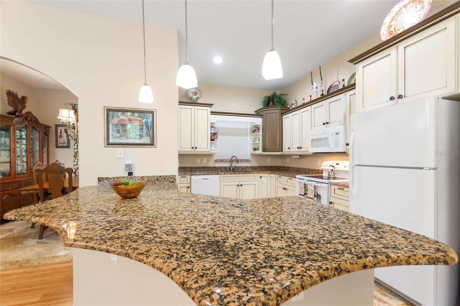 Lots of counter space in Kitchen.