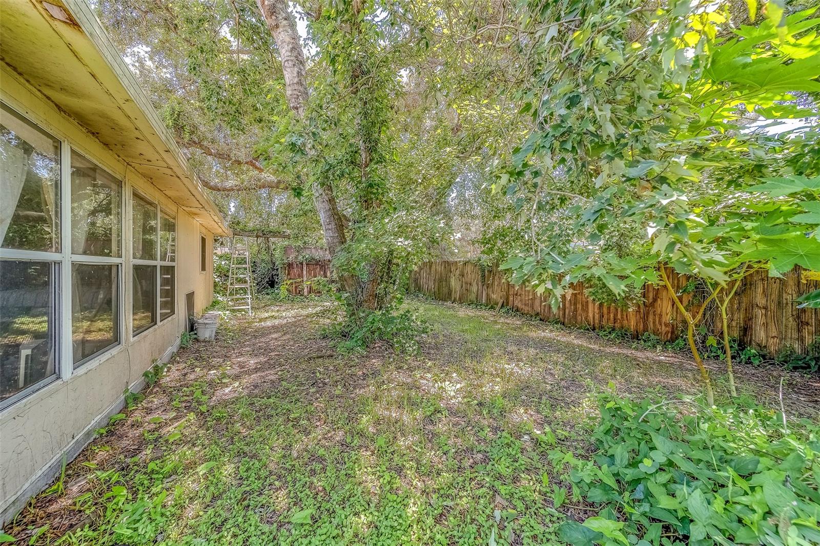 Backyard