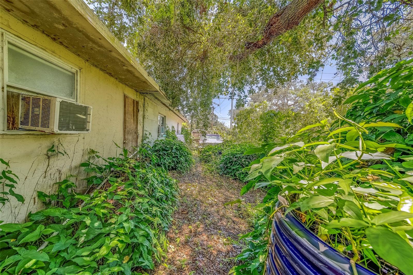 Backyard