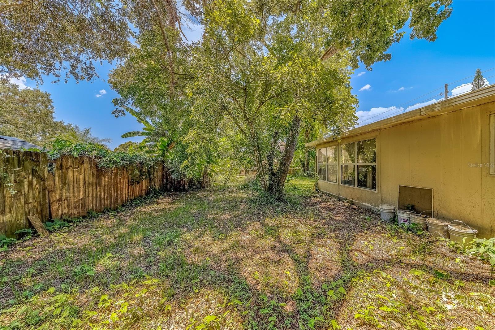 Backyard
